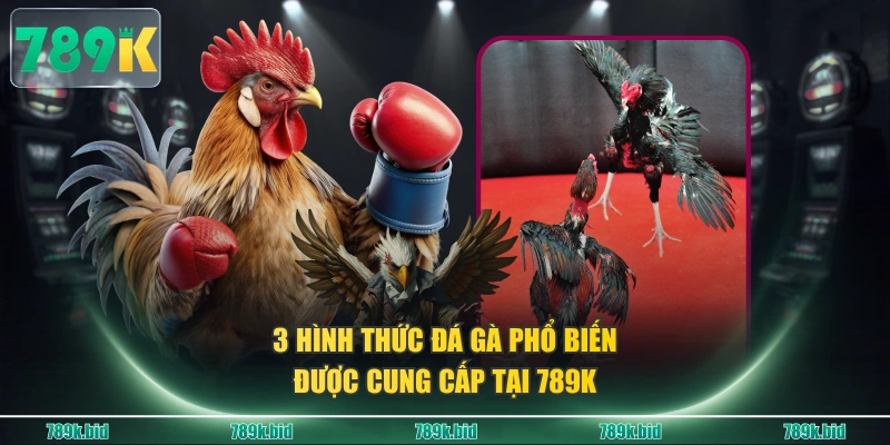 3 hình thức đá gà phổ biến được cung cấp tại 789K