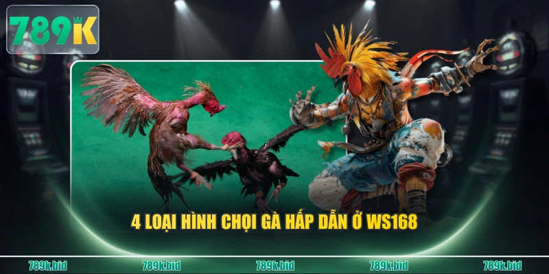 4 loại hình chọi gà hấp dẫn ở WS168