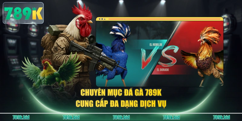 Chuyên mục đá gà 789K cung cấp đa dạng dịch vụ