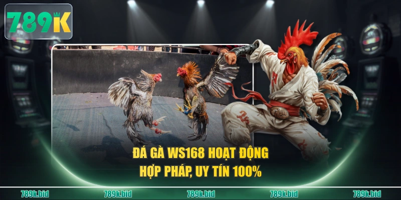 Đá gà WS168 hoạt động hợp pháp, uy tín 100%