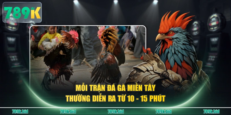 Mỗi trận đá gà miền Tây thường diễn ra từ 10 - 15 phút