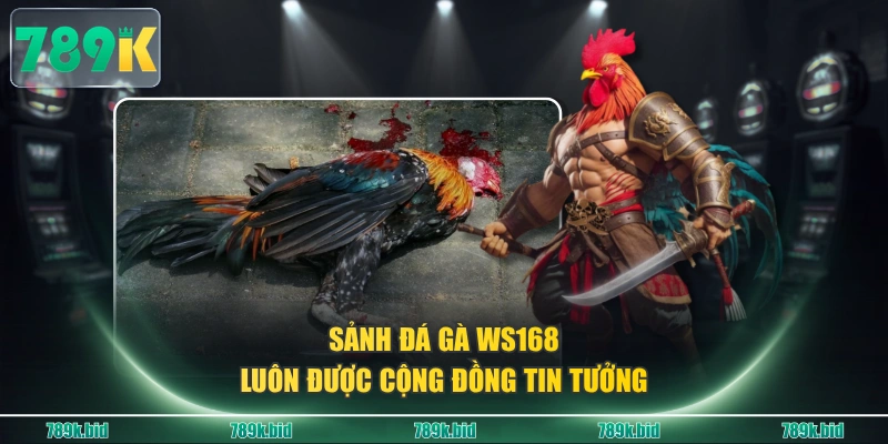 Sảnh đá gà WS168 luôn được cộng đồng tin tưởng