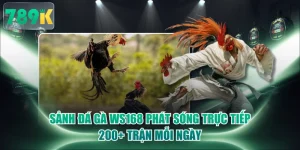 Sảnh Đá Gà WS168 Phát Sóng Trực Tiếp 200+ Trận Mỗi Ngày